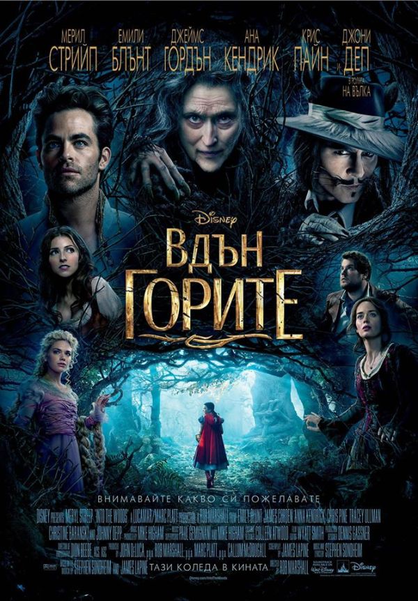 Into the Woods / Вдън горите (2014)